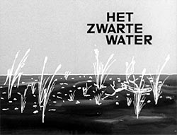 Het Zwarte Water
