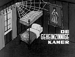 De Geheimzinnige Kamer