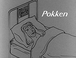 Pokken